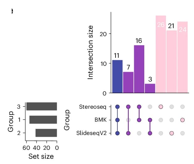 Open access visualization of Bar Plot, Venn Diagram, Upset Plot, Marker Genes, sST Methods