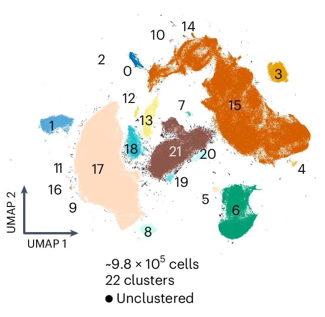 Open access visualization of UMAP, UMAP Embedding, CRC Data, HDBSCAN Cluster, Unclustered Cells