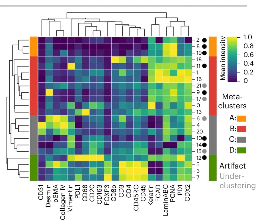 Open access visualization of Heatmap, Clustered, Mean Signals, CRC Dataset, Meta-clusters