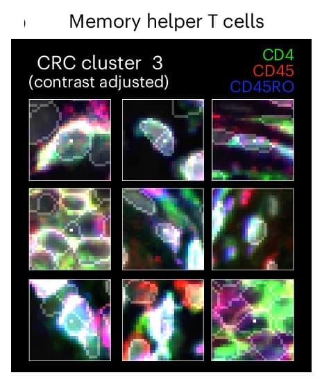 Open access visualization of Microscopy, Signal Intensity, Homogeneity
