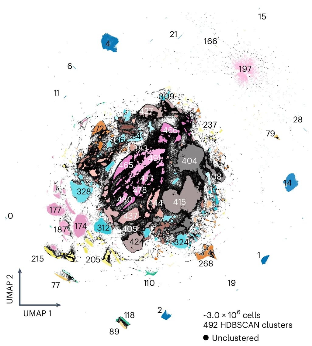Open access visualization of Scatter Plot, UMAP, UMAP Embedding, Cells, Segmented Nuclei