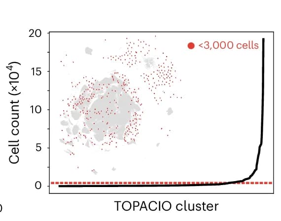 Open access visualization of Scatter Plot, Line Plot, Cell Counts, TOPACIO Cluster