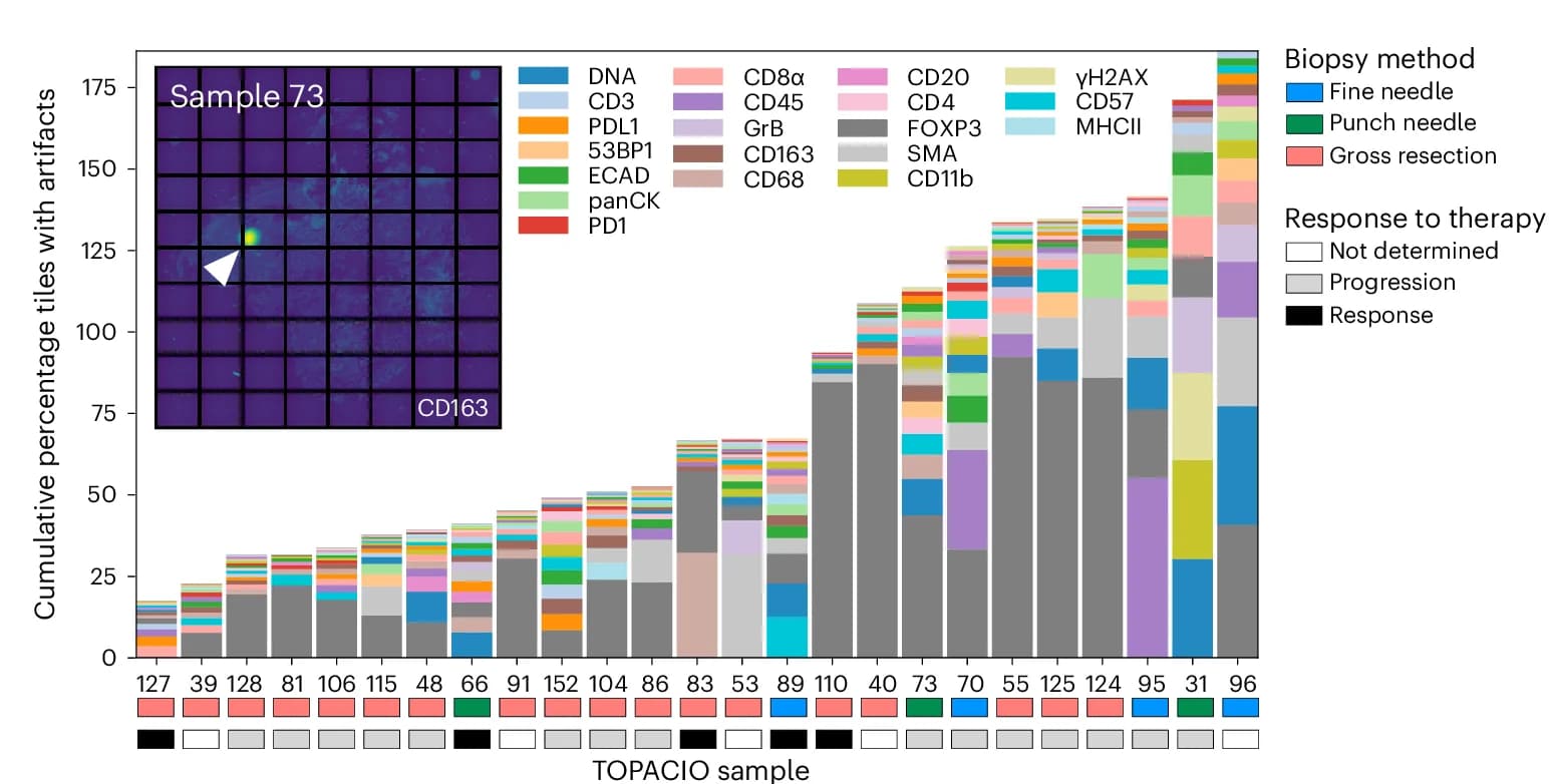 Open access visualization of Stacked Bar Plot, Microscopy, Stacked Bar Chart, Image Tiles, Visual Artifacts