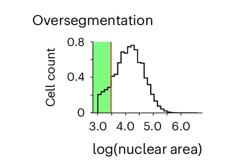 Open access visualization of Line Step, Density Plot, Data Filtration, CyLinter, Oversegmented Nuclei