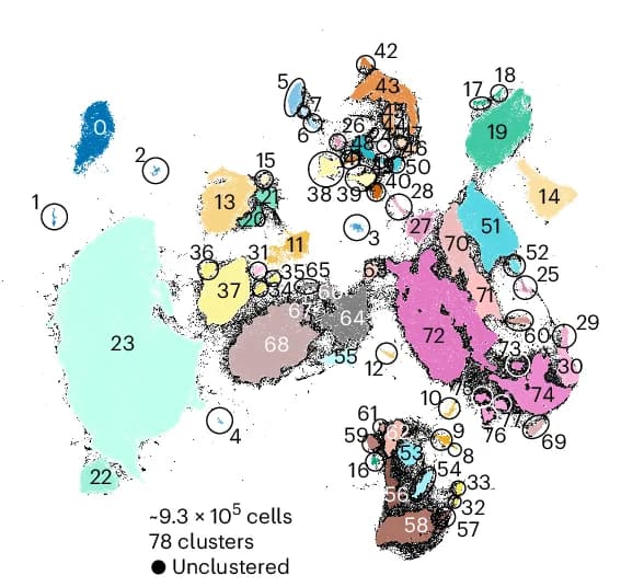 Open access visualization of Scatter Plot, UMAP, UMAP Embedding, Post-QC CRC Data, HDBSCAN Cluster