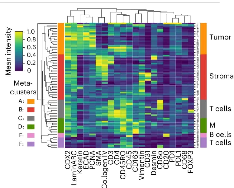 Open access visualization of Heatmap, Clustered, Mean Signal Intensities, Post-QC CRC Data, Meta-clusters