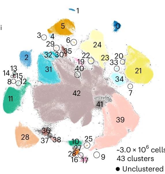 Open access visualization of Scatter Plot, UMAP, Bubble Plot, UMAP Embedding, TOPACIO Data