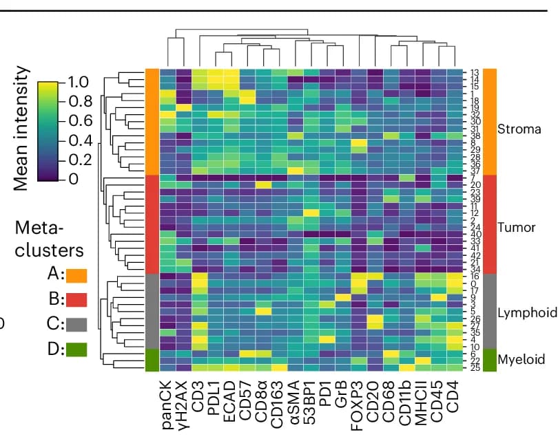 Open access visualization of Heatmap, Clustered, Signal Intensities, Post-QC Dataset, Meta-Clusters