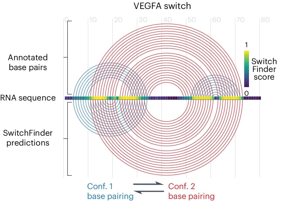Open access visualization of Workflow, Line Plot, Heatmap, Network, RNA Switch