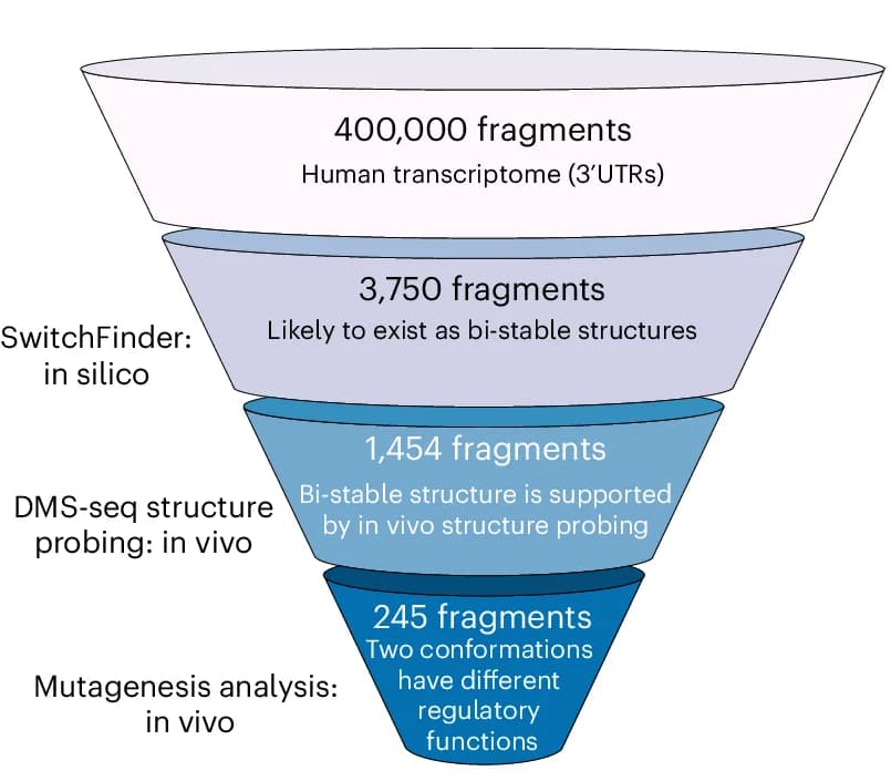 Open access visualization of Workflow, Flowchart, Illustration, RNA switch, Transcriptome