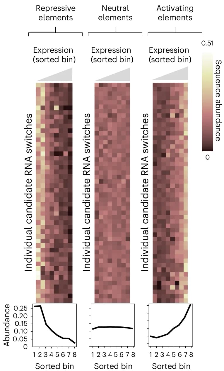 Open access visualization of Heatmap, Line Plot, Regulatory Elements, RNA Switch, Reporter Gene Expression
