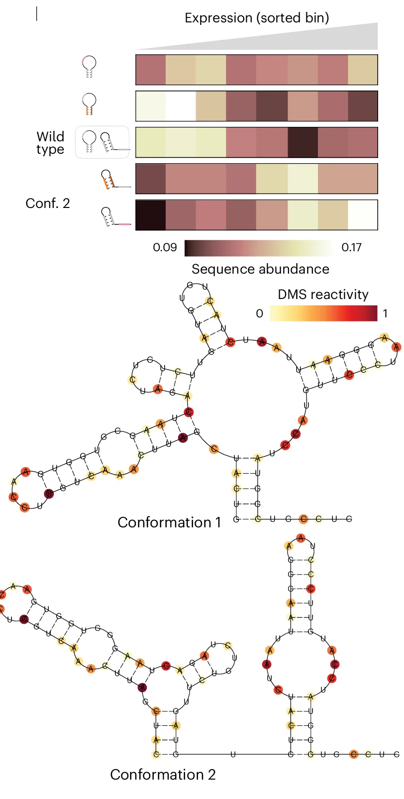 Open access visualization of Heatmap, Protein Structure, RNA Switch, Massively Parallel Mutagenesis, Alternative Conformations