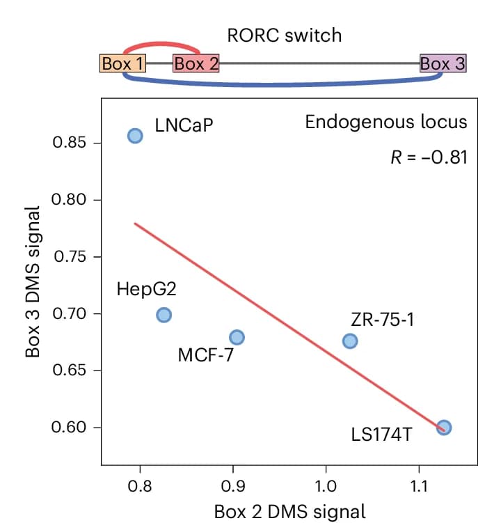 Open access visualization of Scatter Plot, Regression Plot, Illustration, Accessibility, Box 2