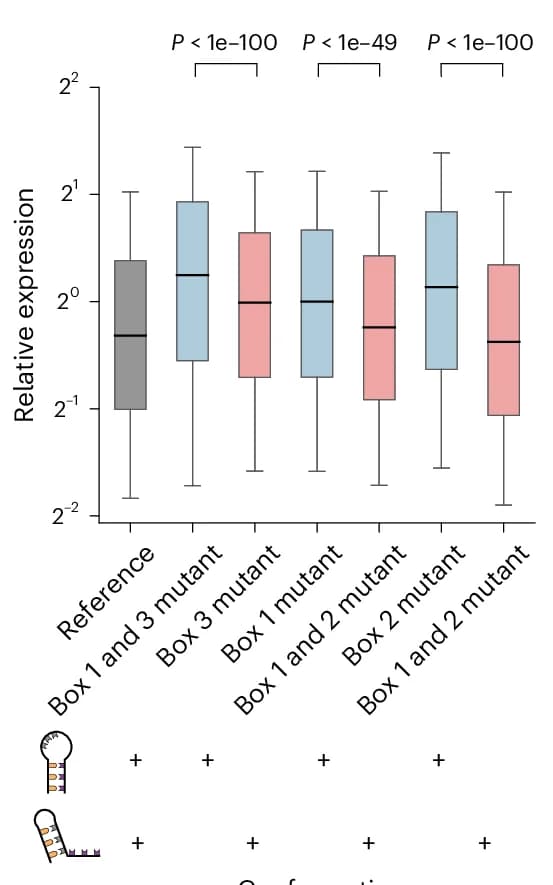 Open access visualization of Box Plot, Equilibrium, Conformations, RORC Switch, Reporter Gene Expression