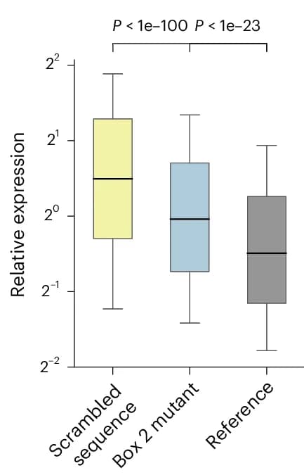 Open access visualization of Box Plot, Equilibrium, Conformations, RORC Switch, Reporter Gene Expression