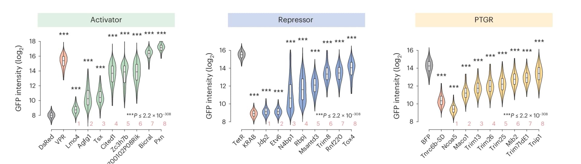 Open access visualization of Violin Plot, Screen Hits, GFP Intensity, Flow Cytometry, Reporter Cell Lines