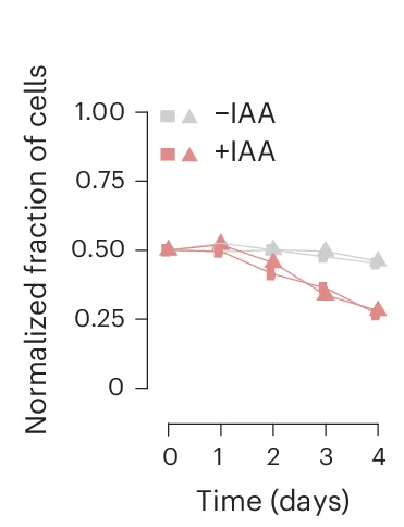Open access visualization of Line Plot, Cell Viability, IAA, Zfp574
