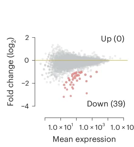 Open access visualization of Scatter Plot, Volcano Plot, MA Plot, PRO-seq, Zfp574