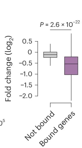 Open access visualization of Box Plot, PRO-seq, Zfp574, Promoter-bound Genes, Wilcoxon Test