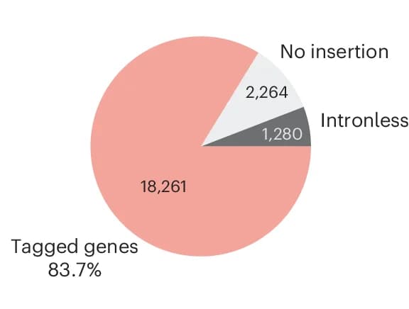 Open access visualization of Pie Chart, Genes, Integrations, Background Sample