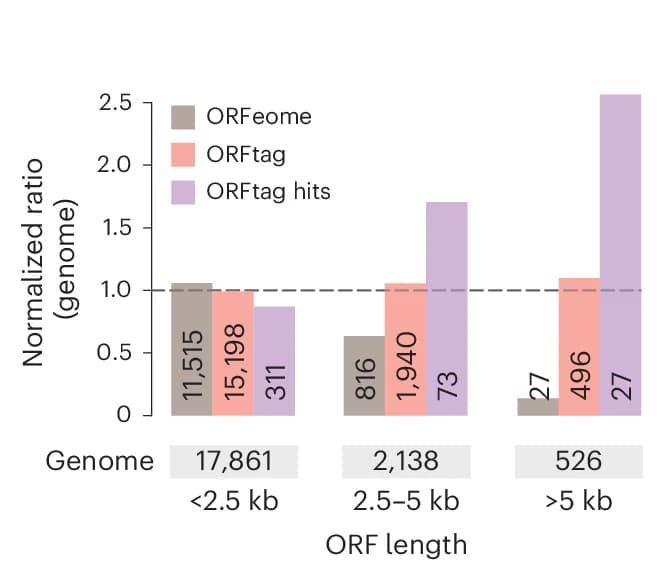 Open access visualization of Bar Plot, Clustered, Protein-Coding Genes, ORFtag, ORFtag Hits