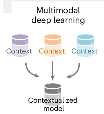 Open access visualization of Workflow, Flowchart, Illustration, PINNACLE, Deep Learning