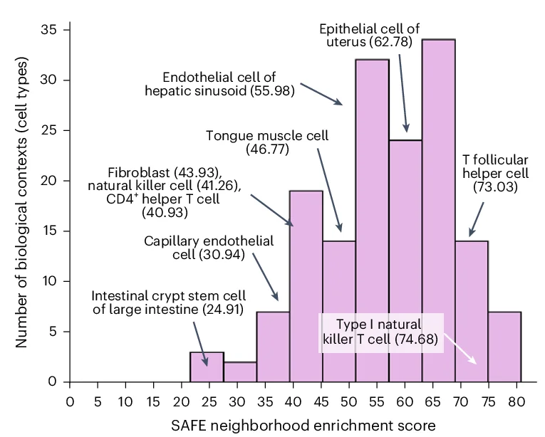 Open access visualization of Histogram, SAFE NES, Cell Type Context, Hypergeometric Test, Benjamini-Hochberg Correction