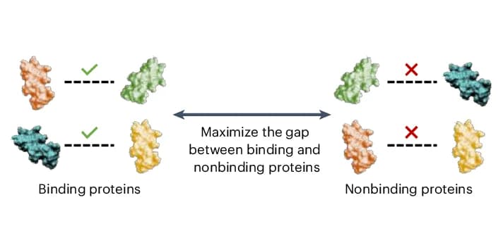 Open access visualization of Illustration, Workflow, Prediction Task, Protein Representations, Binding Proteins