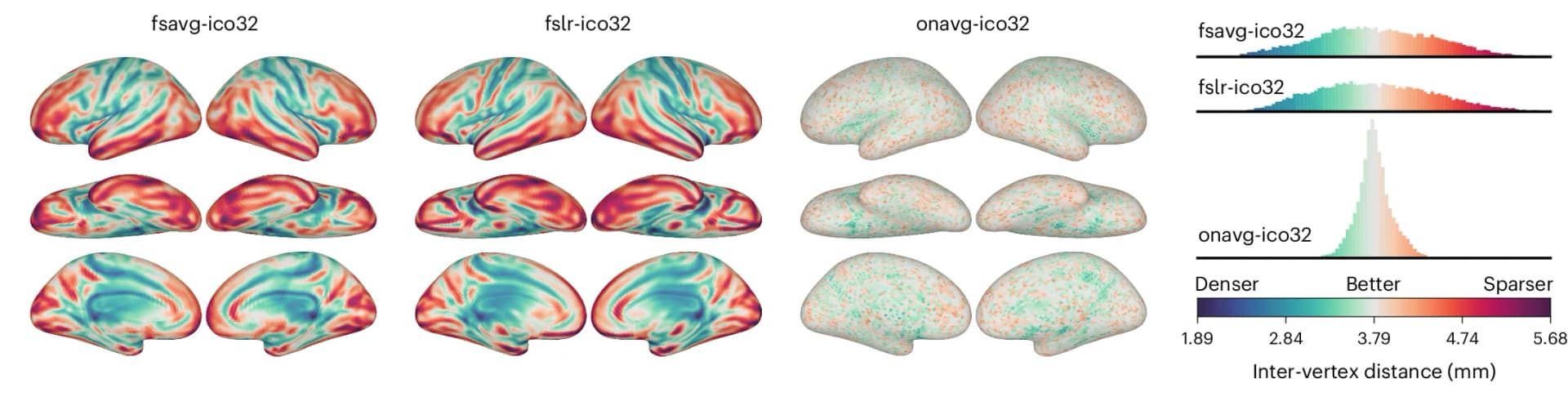 Open access visualization of 3D Plot, Histogram, Vertices, fsavg, fslr