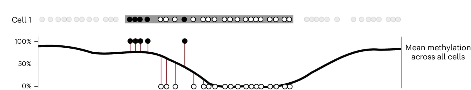 Open access visualization of Line Plot, Scatter Plot, CpG Site, Methylation, Average Methylation