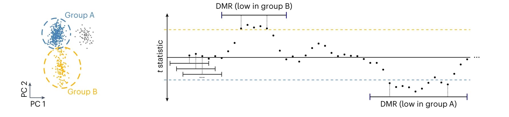 Open access visualization of Scatter Plot, Line Plot, PCA, DMR Detection Algorithm, T Statistic