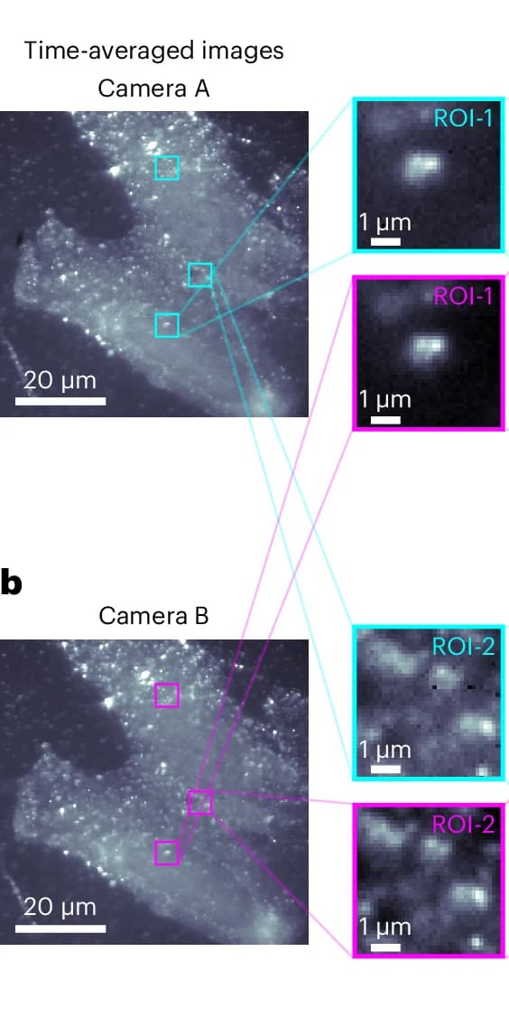 Open access visualization of Microscopy, Time Averages, Frames, Cameras, ROIs