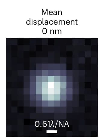 Open access visualization of Microscopy, Mean Displacement, Tracks