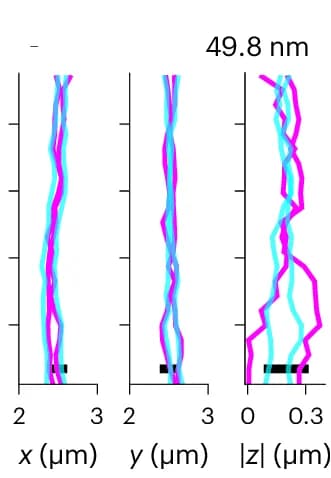 Open access visualization of Line Plot, Mean Displacement, Tracks