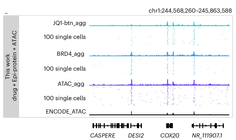 Open access visualization of Line Plot, Scatter Plot, Density Plot, Track View, Aggregated Single Cells