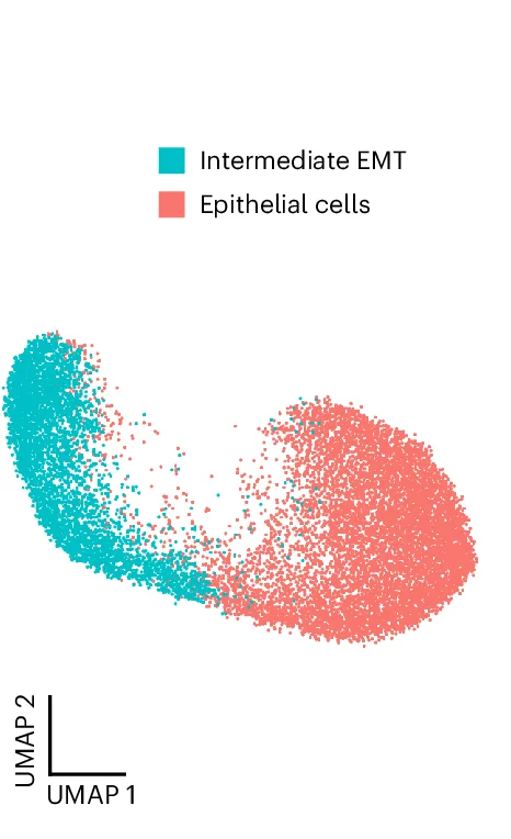 Open access visualization of Scatter Plot, UMAP, scEpiChem, Small Molecules, H3K27ac