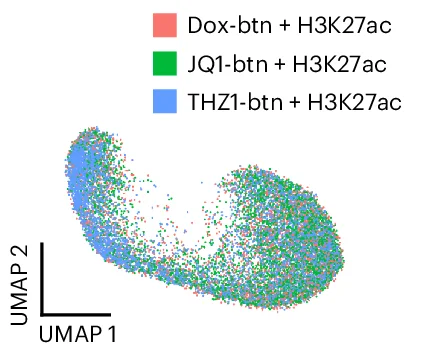 Open access visualization of UMAP, Batch Effects, scEpiChem, Small Molecules, H3K27ac