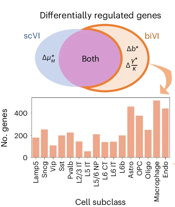 Open access visualization of Bar Plot, Venn Diagram, biVI, Burst Size, Degradation Rate