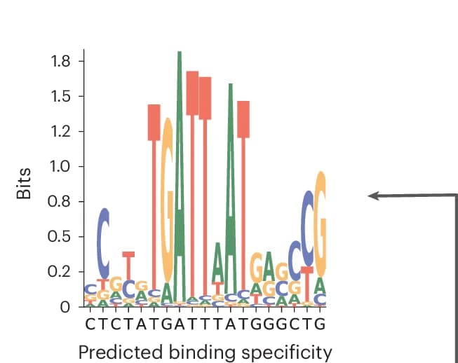 Open access visualization of Bar Plot, DeepPBS Outputs, Binding Specificity