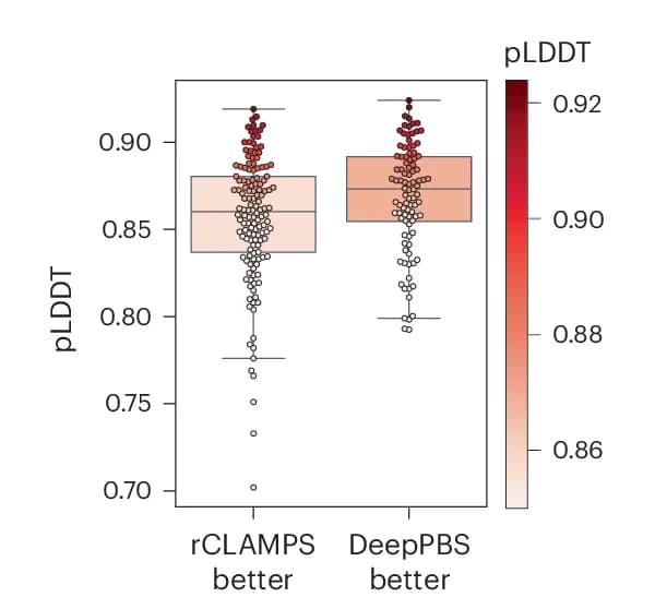Open access visualization of Box Plot, Scatter Plot, pLDDT, DeepPBS, rCLAMPS