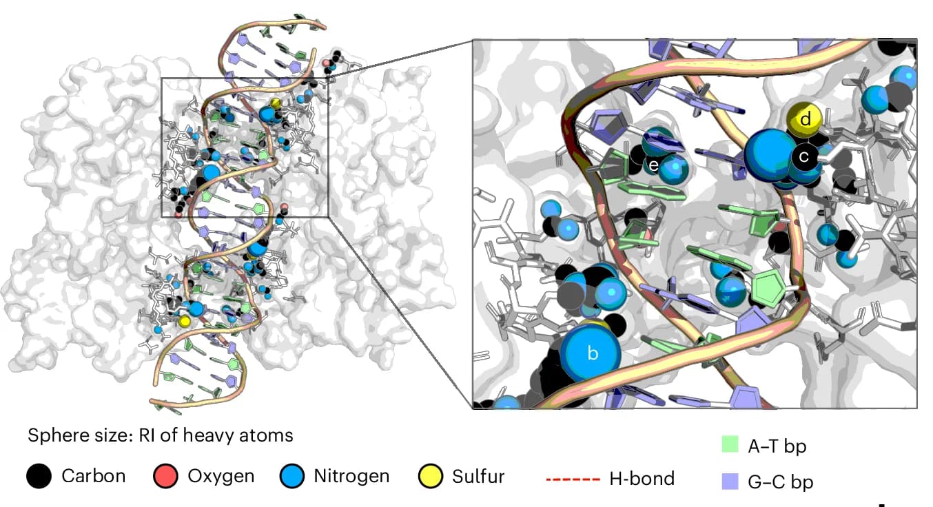 Open access visualization of Protein Structure, Chemical Structure, Relative Importance, Heavy Atoms, Sym-helix