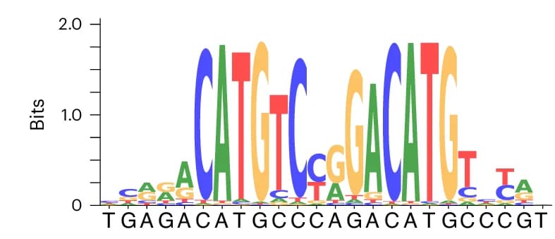 Open access visualization of Sequence Logo, DeepPBS, Prediction