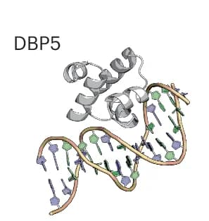 Open access visualization of Protein Structure, HTH Proteins, DNA Sequence, Design Models