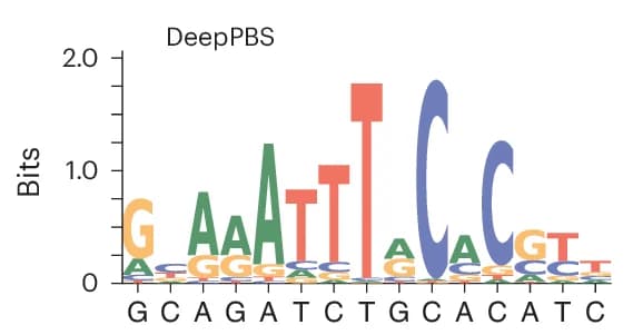 Open access visualization of Bar Plot, DeepPBS, Ensemble Predictions, Design Models