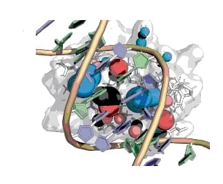 Open access visualization of Protein Structure, Chemical Structure, DeepPBS, RI Scores, Heavy Atom Level