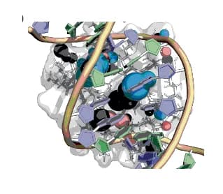 Open access visualization of Protein Structure, Chemical Structure, DeepPBS, RI Scores, Heavy Atom Level