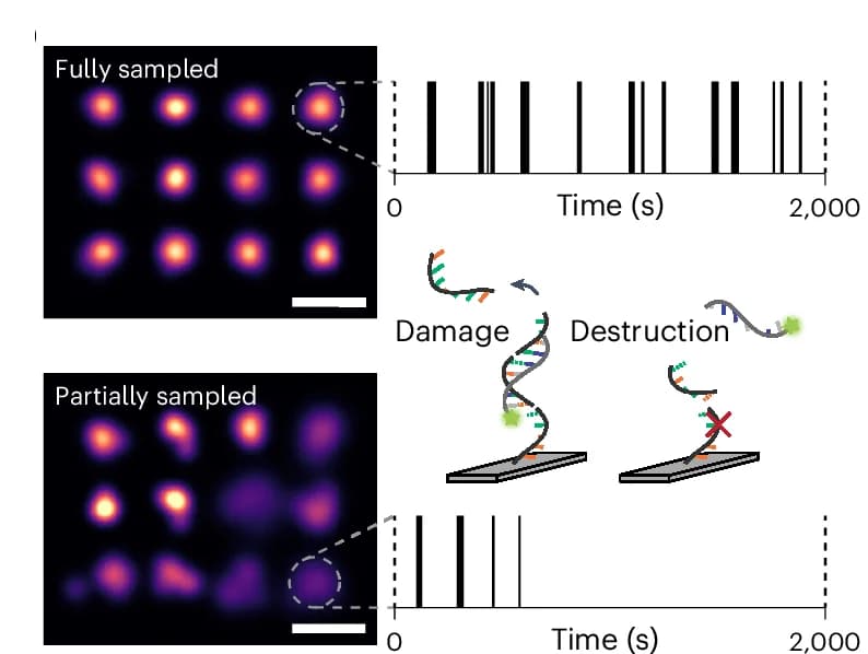 Open access visualization of Microscopy, Line Plot, Docking Sites, Photoinduced Damage, Localizations