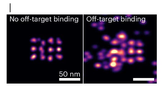 Open access visualization of Microscopy, Off-Target Binding, DNA-PAINT, Image Quality