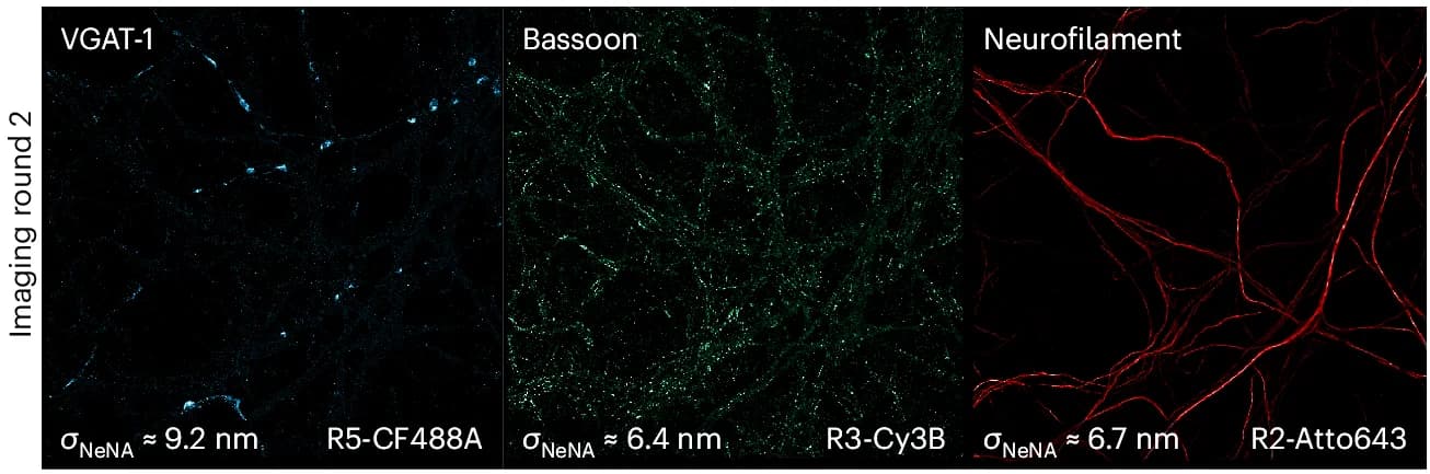 Open access visualization of Microscopy, Exchange-PAINT, VGAT-1, Bassoon, Neurofilament