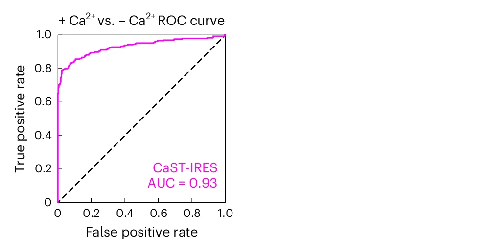 Open access visualization of Line Plot, ROC Curves, Calcium, Cells, CaST